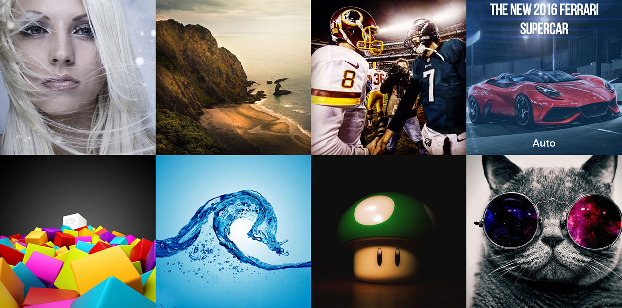 Puffer Blog full width