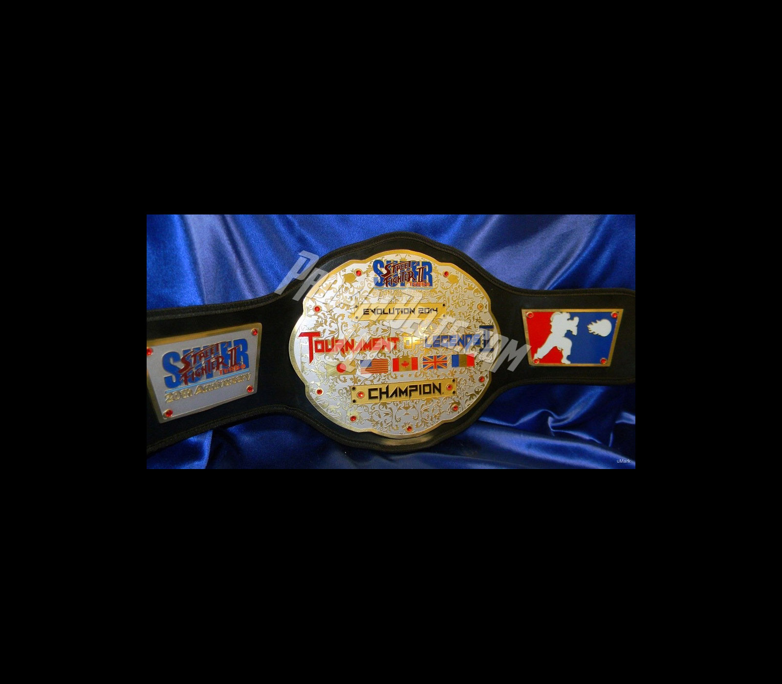 Championship belt that was awarded to the winner of ToL II.